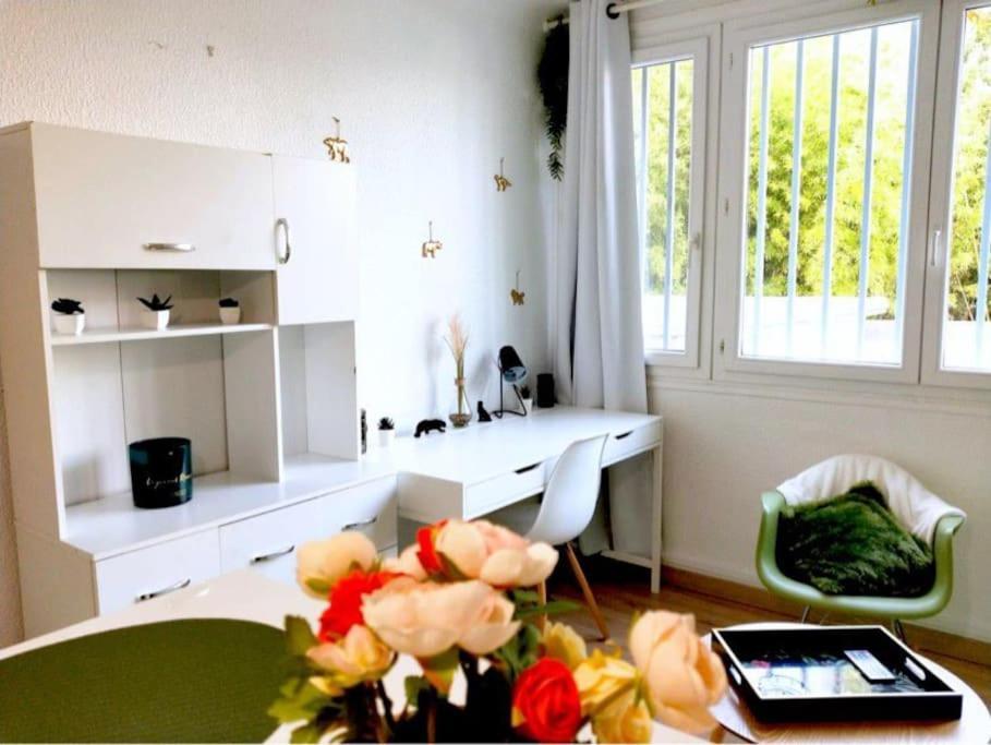Studio Proche Centre Wifi Parking Apartamento Montpellier Exterior foto